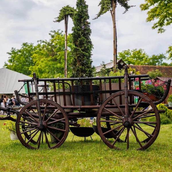 Stary Drewniany Wózek Dziedzińcu — Zdjęcie stockowe