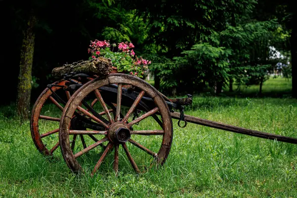 木制轮毂 院子里的旧推车的一部分 — 图库照片