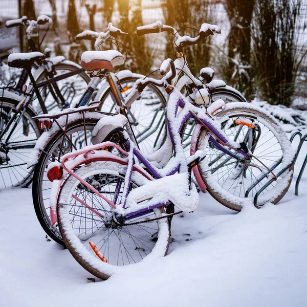 Winter landscape with a group of bicycles covered in snow