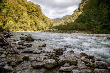 Ahşap ile büyük taşlar üzerinde aşağı büyük dağ nehir akar
