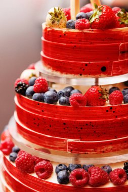 Taze çilek, ahududu, böğürtlen ve böğürtlen ile süslenmiş canlı, çok katmanlı bir meyveli pasta.
