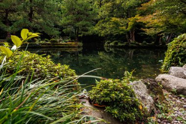 Bereketli yeşillik ve kayalarla çevrili sakin bir gölet hayal edin. Huzurlu ve doğal bir ortamda kurulmuş.