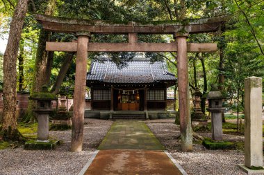 Yeşilliğe gömülü geleneksel bir Japon tapınağının huzur ve maneviyatı simgeleyen sakin bir sahnesi..