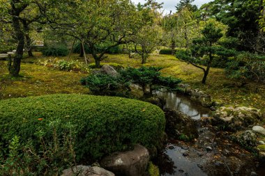 Huzurlu bir bahçe hayal edin canlı yeşillikler, nazikçe akan bir akarsu ve huzurlu doğal çevre.