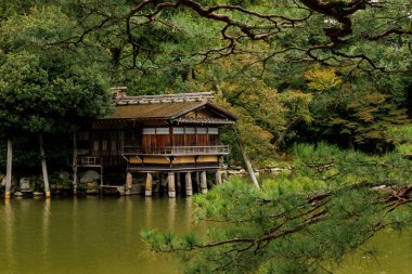 Yakınlardaki yemyeşil ve dingin suların arasına güzel, sakin bir göl manzarası kurulmuş.