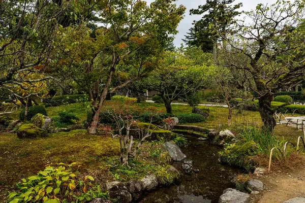 Geleneksel bir Japon parkında peyzaj tasarımı. Serene Garden, akarsu ve bereketli bir yeşillikle tamamlanmış.