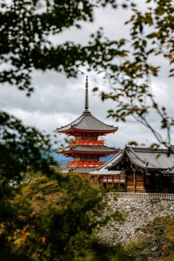 Büyüleyici bir manzara, güzel Kyoto 'nun canlı yeşillikleriyle çevrili geleneksel bir Japon tapınağını yansıtıyor.