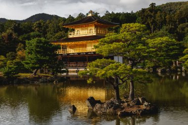 Kyoto 'daki Altın Köşkü' nün çarpıcı manzarası yemyeşil ve sakin suları güzelliğini yansıtıyor..