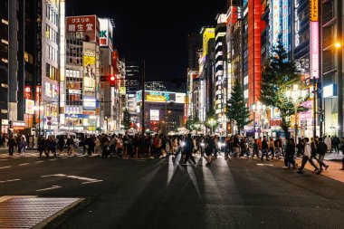 Tokyo, Japonya - 1 Kasım 2024: İnsanlar yoğun bir yaya geçidini geçiyor
