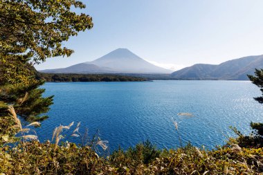 Japonya 'daki Fuji Dağı yakınlarındaki beş gölden biri.