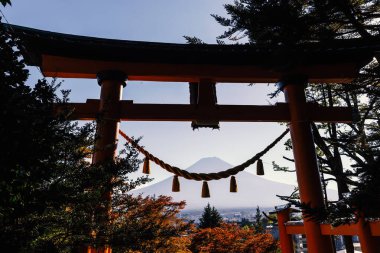 Doğaya karşı geleneksel bir gövde kapısı olan güzel manzaralı bir manzara. Uzaktaki görkemli Fuji Dağı.