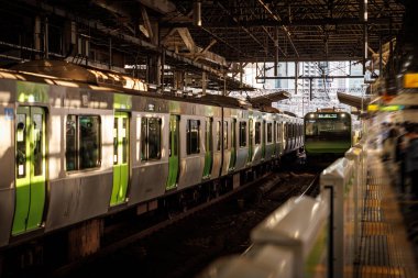 Japonya 'da Ulaşım, Tokyo Metro Trenleri