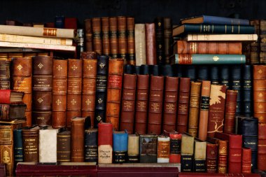 Görüntü, görsel olarak çarpıcı bir şekilde sıralanmış geniş bir kitap yelpazesi sergiliyor.