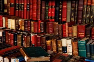 Çeşitli renk ve boyutlarda büyük bir kitap koleksiyonu. Defterler bir yığın halinde düzenlenmiş.