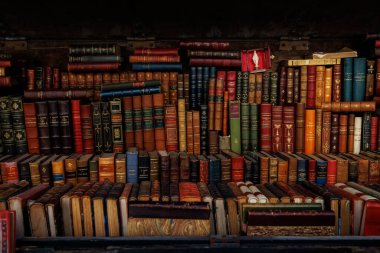 Görsel olarak çarpıcı bir şekilde sıralanmış geniş bir kitap çeşidi. Kitaplar çeşitli boyutlarda geliyor.
