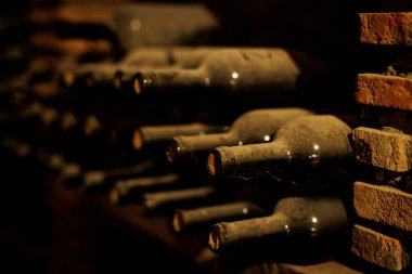 Bir sıra şarap şişesi bir rafa dizilmiştir. Şişeler eski ve tozlu.