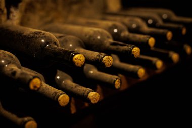 Kırsal bir mahzende yıllanmış şarap şişeleri.