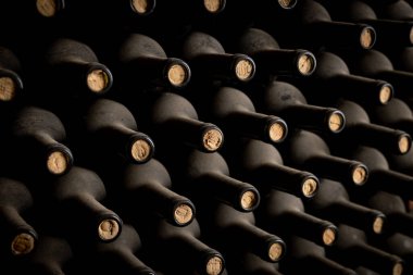 Toz kaplı şarap şişelerinin tıpaları düzgün bir şekilde loş bir mahzende duruyor.