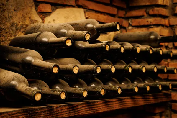 Bir raf dolusu tozlu şarap şişesi dizilmişti..