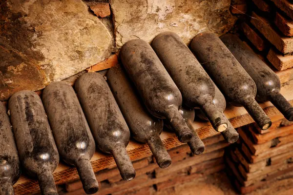 Kırsal bir mahzende yıllanmış şarap şişeleri