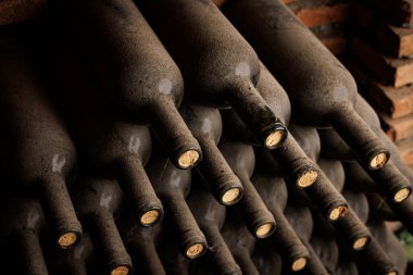 Mahzendeki Şarap Şişeleri Koleksiyonu. Şarap mahzeninde depolanmış tozlu şarap şişelerinin yakın çekim görüntüsü..