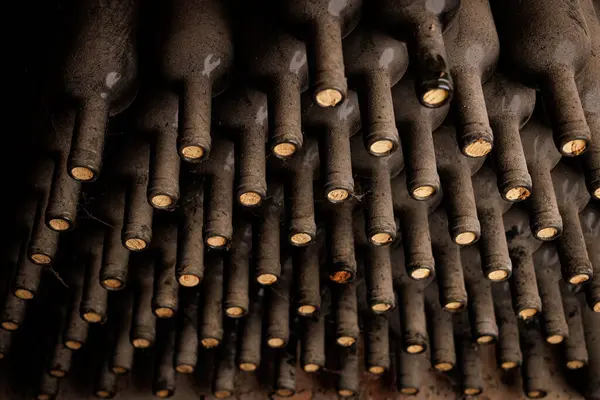 Eski tozlu şarap şişeleri mahzende birbiri üstüne bırakılır.