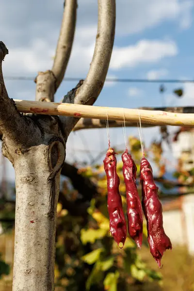 Otantik Gürcü Kilisesi 'nin üç parçası bir ağaç dalına asılmış.