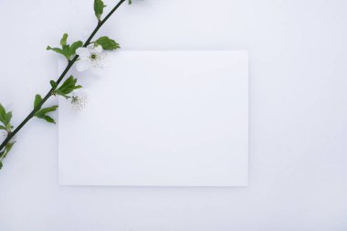 Beyaz arkaplan görünümünde harf modeliyle kiraz çiçeği dalı