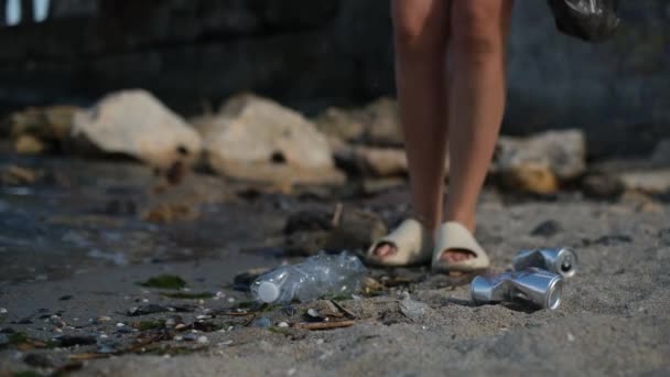Ochránci Přírody Sbírají Odpadky Pláži — Stock video