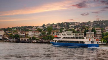 İstanbul, Türkiye - 25 Ağustos 2022: Uzak uçta geleneksel yazlık evler, ağaçlar ve feribot terminali bulunan Büyükkada adasının yeşil dağlarının arka planına sahip Marmara denizindeki feribot