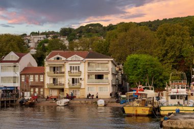 Marmara Denizi 'nden Kinaliada adasının geleneksel yazlık ve tekneleriyle manzarası, İstanbul, Türkiye