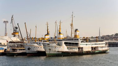 View of the Golden Horn coast with docked ferry boats, Istanbul, Turkey