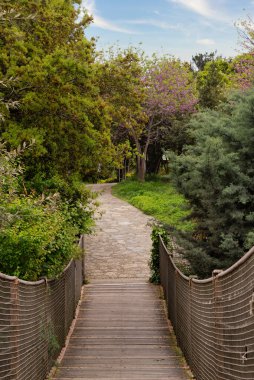 Ormandaki tahta köprü sağlam ağaçtan yapılmıştır ve etrafı Fethi Paşa Korusu, Uskudar, İstanbul, Türkiye 'de yeşil yemyeşil ağaçlarla çevrilidir. Genel etkisi barış ve sükunettir.