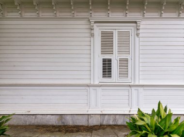 Kapalı kepenkli beyaz boyalı ahşap duvar ve parlak yeşil bitki saksısı.