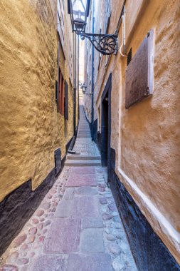 Marten Trotzig sokağı, İsveççe: Marten Trotzigs grand, Stockholm 'ün en dar caddesi 36 adım ve 90 santimetre genişliğinde, İsveç' in eski Stockholm kasabası Gamla stan 'da yer almaktadır.