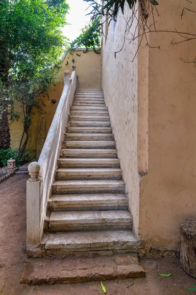 Set of well-worn stone steps bordering a plastered wall, leading up to an unseen destination within a serene garden environment, bathed in soft daylight