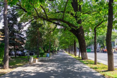 Almaty Kazakistan 20 Haziran 2022. Almatı 'nın merkezindeki Dostyk Bulvarı' nda yaya yolu. Yeşil yürüyüş yolu