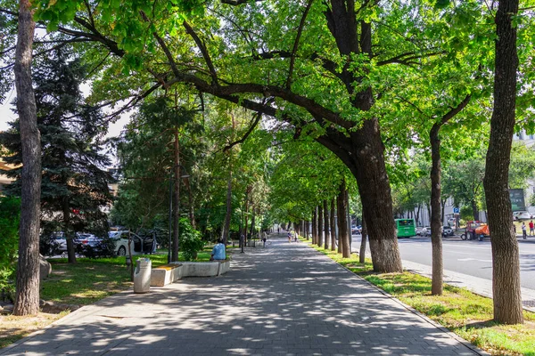 stock image Almaty Kazakhstan 20 June 2022. Pedestrian Way at the Dostyk Avenu in the city center of Almaty. Green walking way