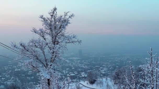 Almaty Kazakhstan January 2023 City View Koktobe Mountaint — Stockvideo