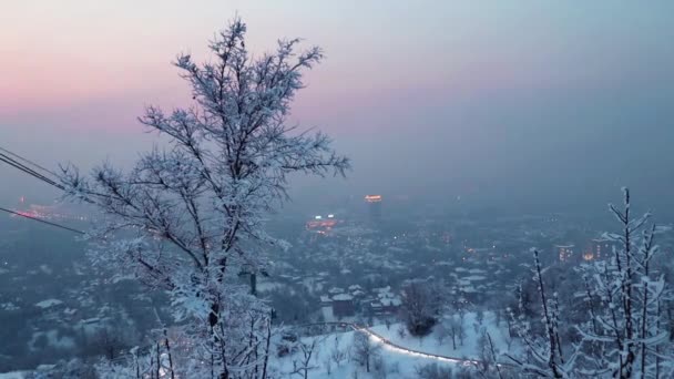 Almaty Kazakhstan Janeiro 2023 Vista Cidade Partir Montanha Koktobe — Vídeo de Stock