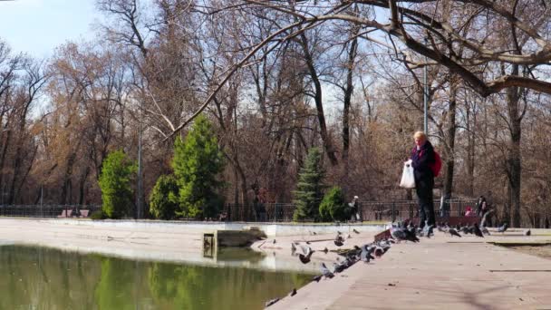 Almaty Stadt März 2023 Gorki Central Park Der Stadt Almaty — Stockvideo