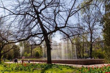 Almaty Şehri. Almaty Kazakistan 23 Nisan 2023. Ulusal Bilim Akademisinin önündeki parkta fıskiyeler