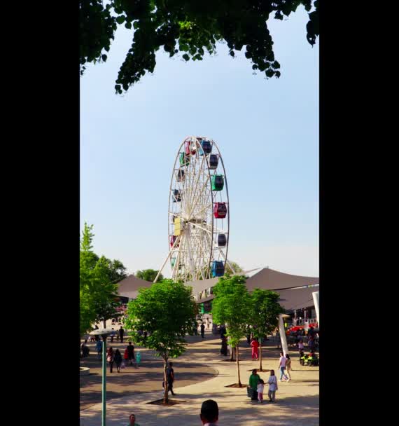 アルマトイ市 2022年6月20日 カザフスタン 夏の日 神戸公園Inアルマトイ — ストック動画