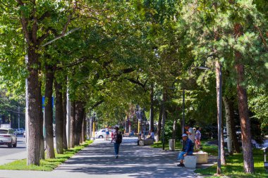 Almaty Şehri 1 Temmuz 2023. Kazakistan, Almaty, Dostyk Caddesi