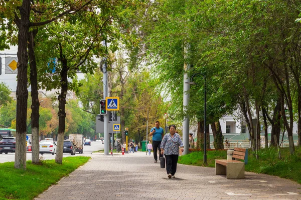 Almaty City Kazajstán Agosto 2023 Avenida Dostyk —  Fotos de Stock