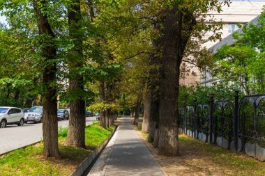 Almaty City, Kazakistan 23 Ağustos 2023. Mukan Tulebayev Caddesi.