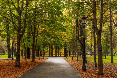 Almaty Şehri. Almaty, Kazakistan 15 Ekim 2023. 28 Panfilov Muhafız Parkı