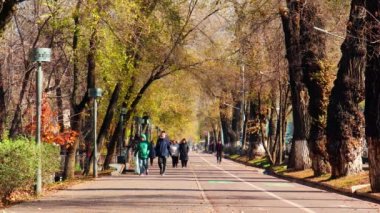 Almaty CIty Video 14 Kasım 2023. Almaty, Kazakistan, Abay Caddesi.