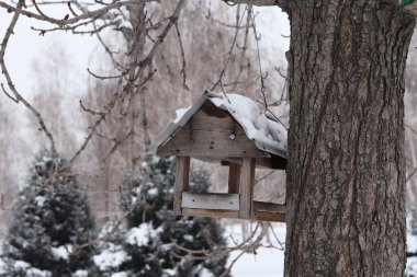 Almaty Şehri 26 Şubat 2024, Kazakistan, Birinci Başkan 'ın Parkı