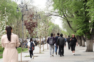 Almaty Şehri Kazakistan. 23 Nisan 2024. Gogol Caddesi.